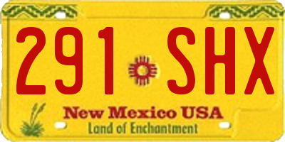 NM license plate 291SHX