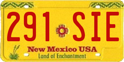 NM license plate 291SIE