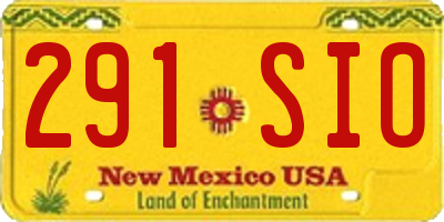 NM license plate 291SIO