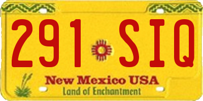 NM license plate 291SIQ