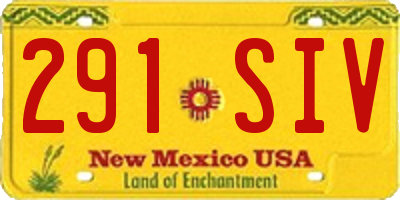 NM license plate 291SIV