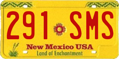 NM license plate 291SMS