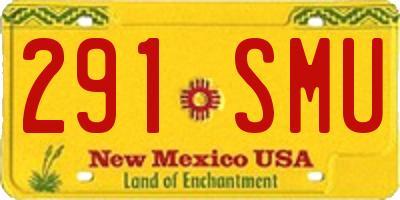 NM license plate 291SMU