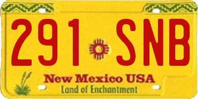 NM license plate 291SNB