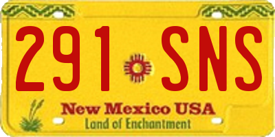 NM license plate 291SNS