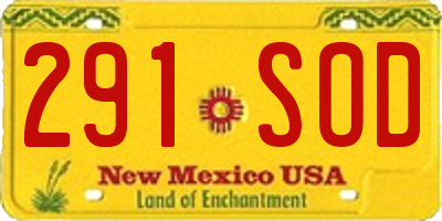 NM license plate 291SOD
