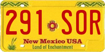 NM license plate 291SOR