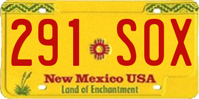 NM license plate 291SOX