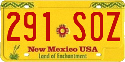 NM license plate 291SOZ