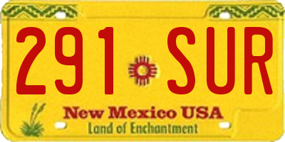 NM license plate 291SUR