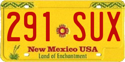 NM license plate 291SUX