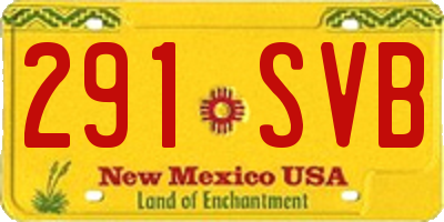 NM license plate 291SVB