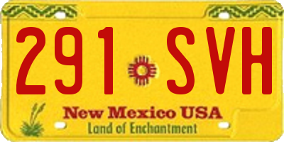 NM license plate 291SVH