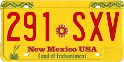 NM license plate 291SXV