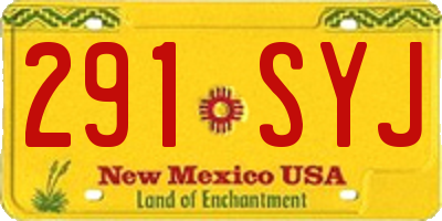 NM license plate 291SYJ