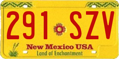 NM license plate 291SZV