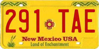 NM license plate 291TAE