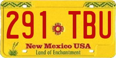 NM license plate 291TBU