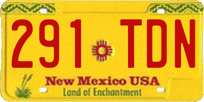 NM license plate 291TDN