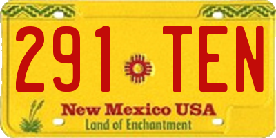 NM license plate 291TEN