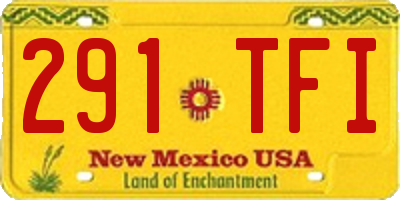 NM license plate 291TFI