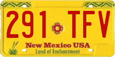 NM license plate 291TFV
