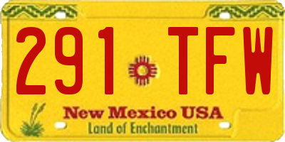NM license plate 291TFW