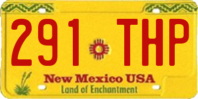 NM license plate 291THP