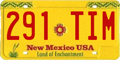 NM license plate 291TIM