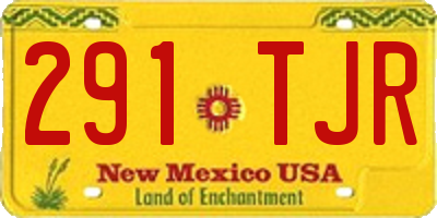 NM license plate 291TJR
