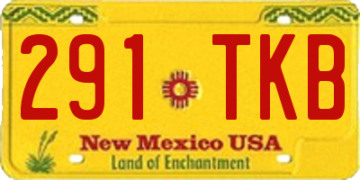 NM license plate 291TKB