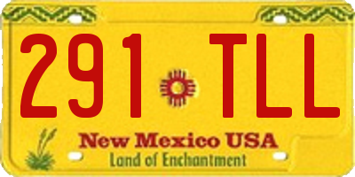 NM license plate 291TLL