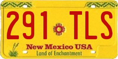 NM license plate 291TLS