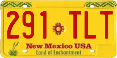 NM license plate 291TLT