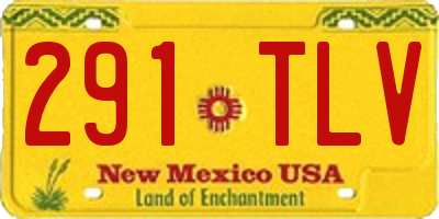 NM license plate 291TLV