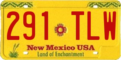 NM license plate 291TLW