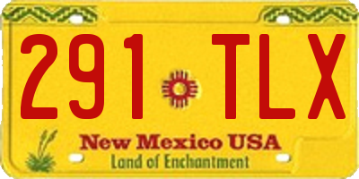 NM license plate 291TLX