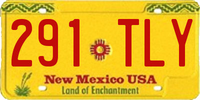 NM license plate 291TLY