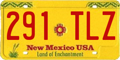 NM license plate 291TLZ
