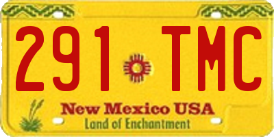 NM license plate 291TMC
