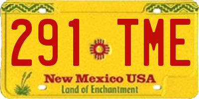 NM license plate 291TME