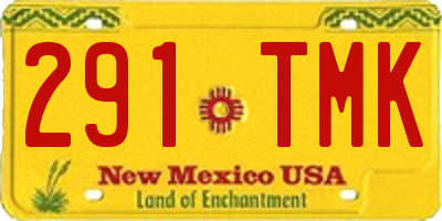 NM license plate 291TMK