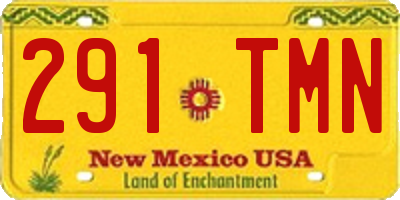 NM license plate 291TMN