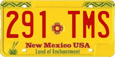 NM license plate 291TMS