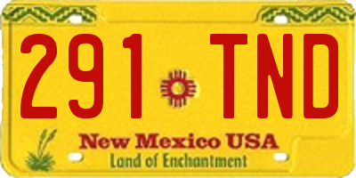 NM license plate 291TND