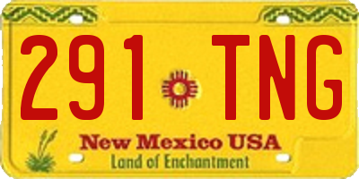 NM license plate 291TNG