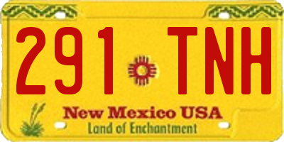 NM license plate 291TNH