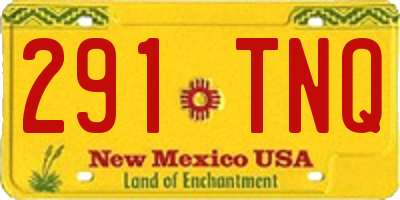 NM license plate 291TNQ