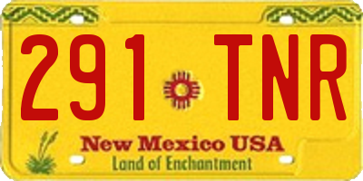 NM license plate 291TNR