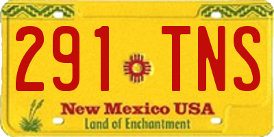 NM license plate 291TNS